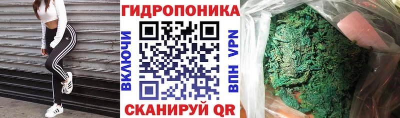 Купить закладку СК  Меф  Галлюциногенные грибы  ГАШ  Лениногорск