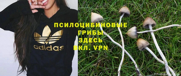 бошки Волоколамск