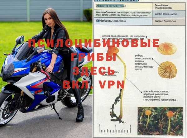марихуана Верхний Тагил