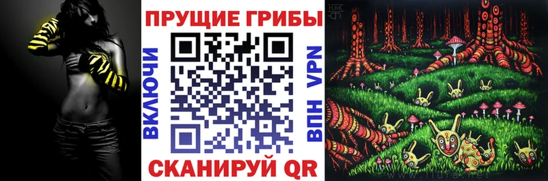 Галлюциногенные грибы Psilocybe  Купить  Лениногорск 